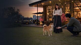 【ペアーズ体験談】愛犬家の26歳と、柴犬に審査された日のアイキャッチ画像