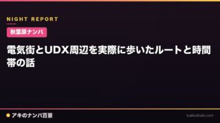 【秋葉原ナンパ】電気街とUDX周辺を実際に歩いたルートと時間帯の話