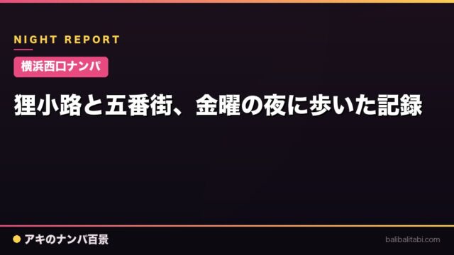 【横浜西口ナンパ】狸小路と五番街、金曜の夜に歩いた記録