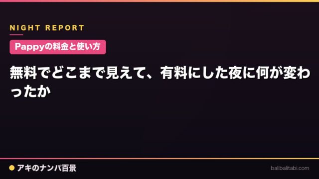 【Pappyの料金と使い方】無料でどこまで見えて、有料にした夜に何が変わったか