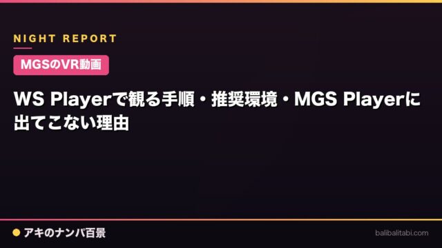 【MGSのVR動画】WS Playerで観る手順・推奨環境・MGS Playerに出てこない理由